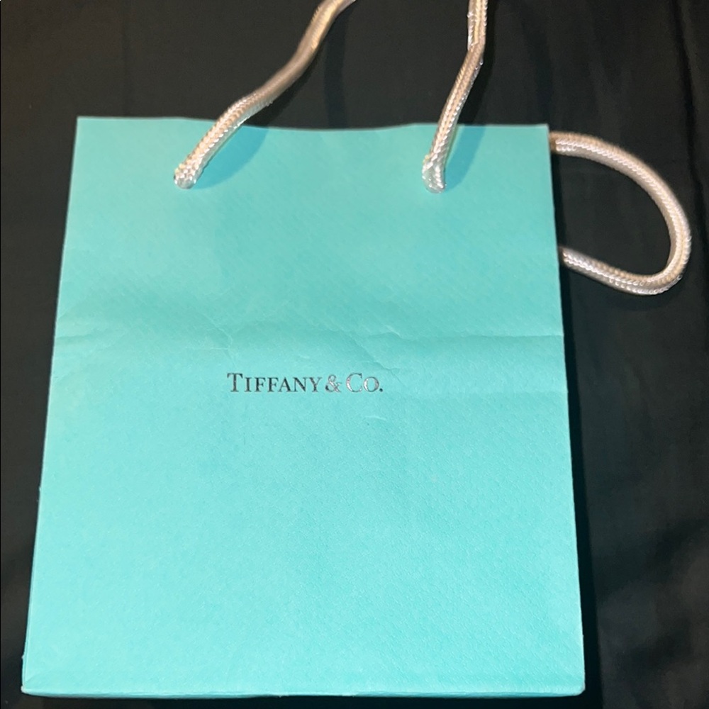 Tiffany & Co. Turquoise Shopping Bag